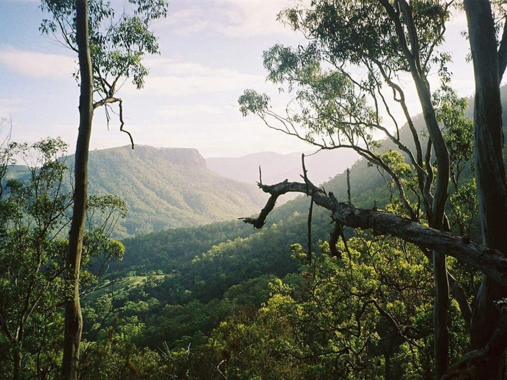 Lamington National Park Location